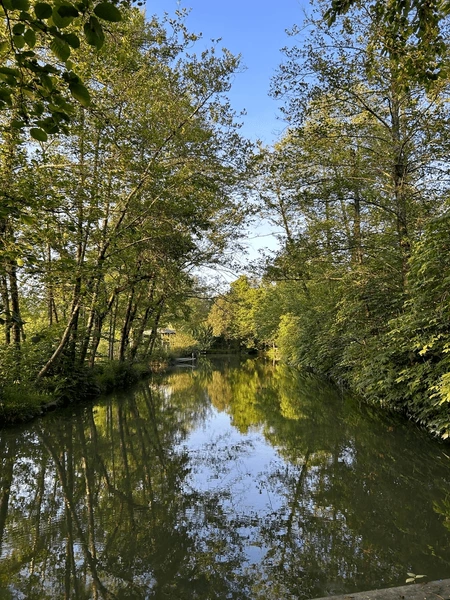 scenic-view-calm-lake-surrounded-600nw-2665349627
