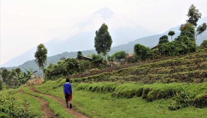 I Went on an Incredible Safari Trip — but It Was the Last 30 Minutes in Uganda's Airport That Changed My Life — Travel + Leisure