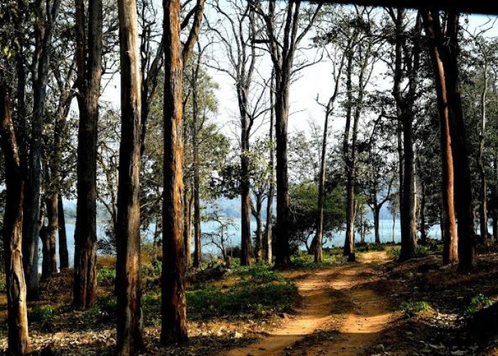 Kabini - Wild Sanctuary