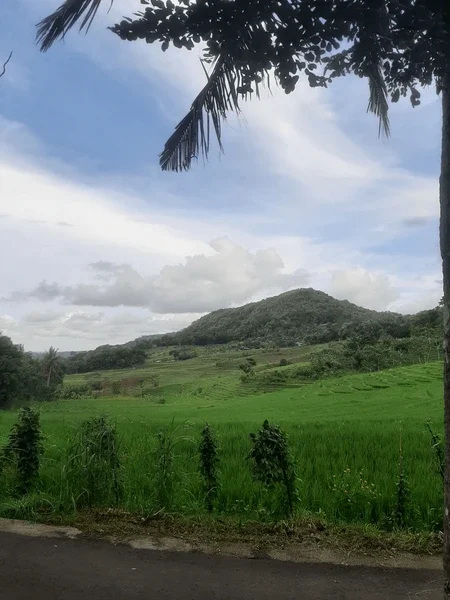 yogyakarta-11-apri-2024-beautiful-600nw-2448981345